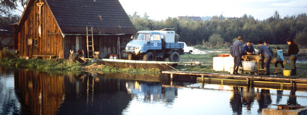 1981-Fischzucht